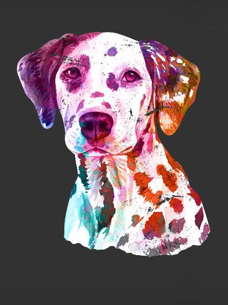 dalmatien