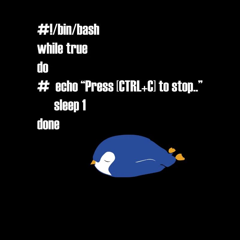 Cadeau drôle d'informaticien programmeur Linux