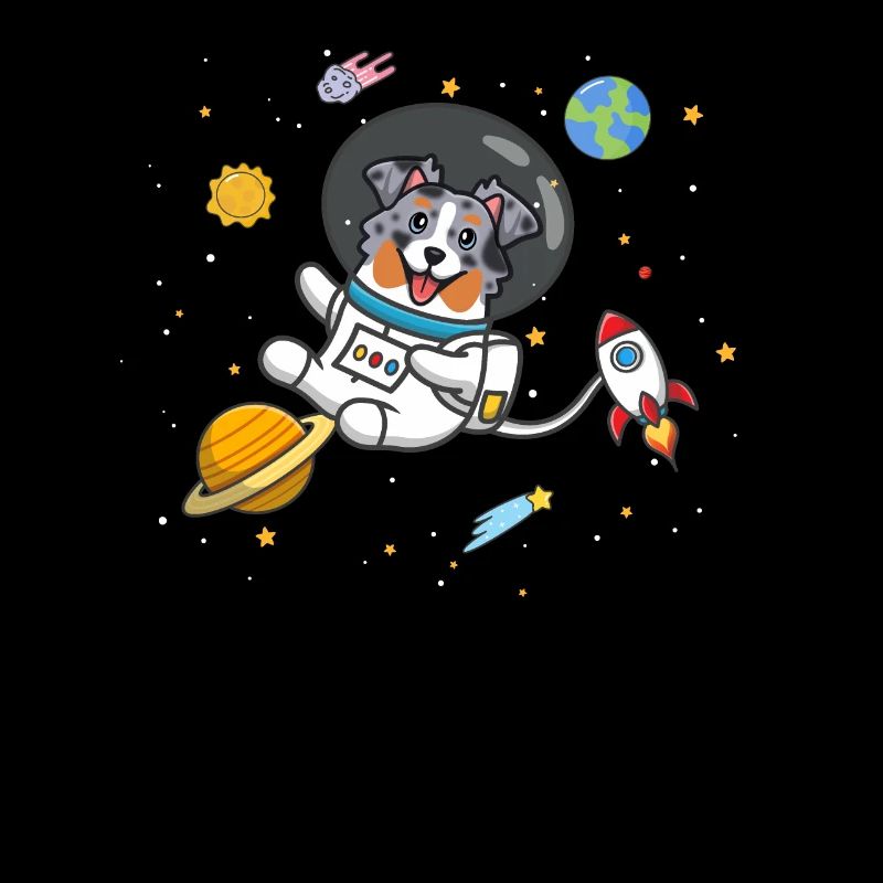 Blue Merle Australian Shepherd