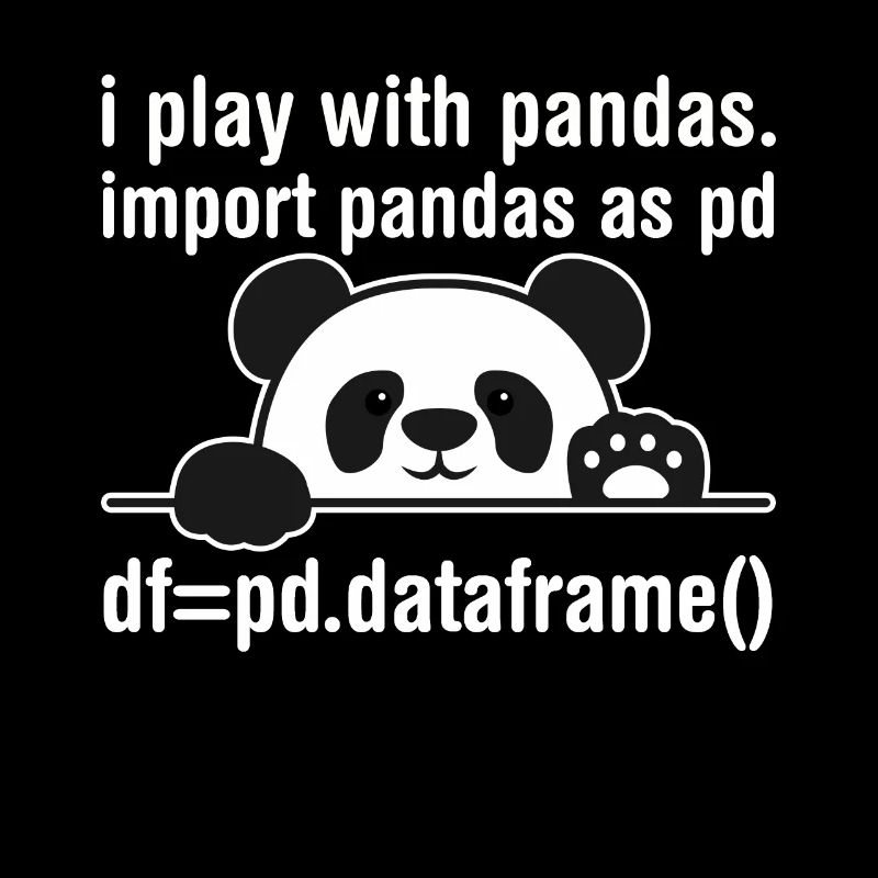Python programmer IT nerd panda programming