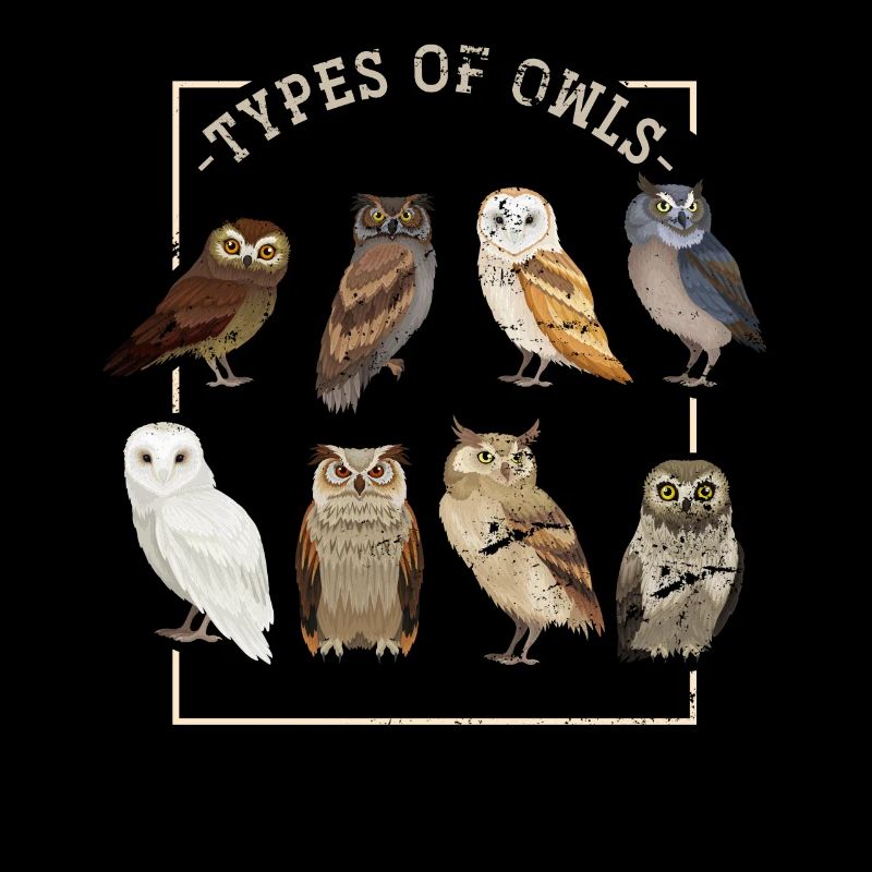 Owl night