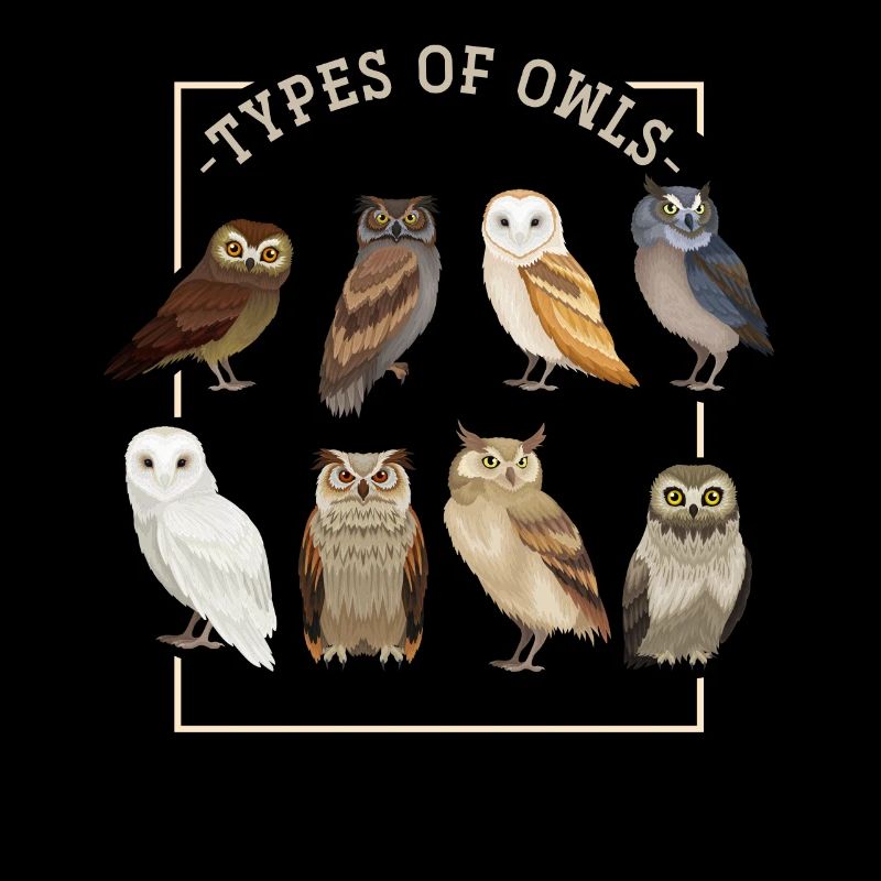 Chouette hibou