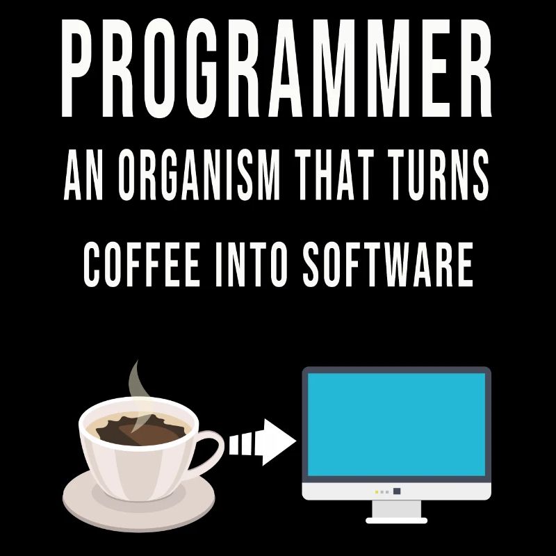 Programmer Code Computer Software Developer