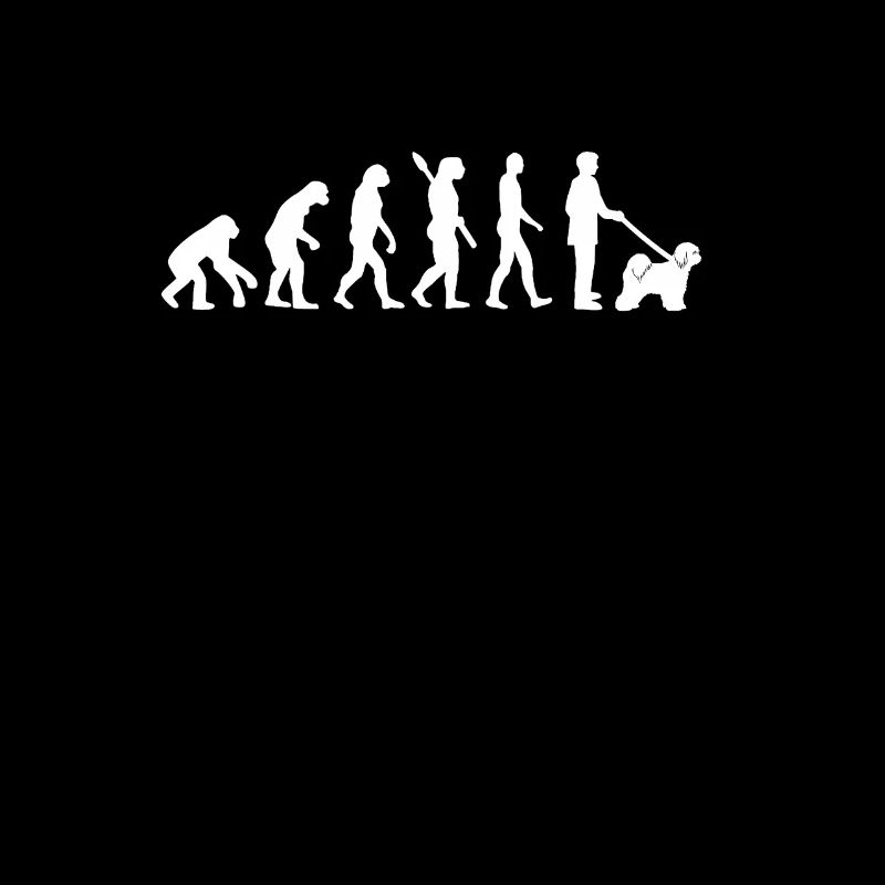 Tibet Terrier Evolution