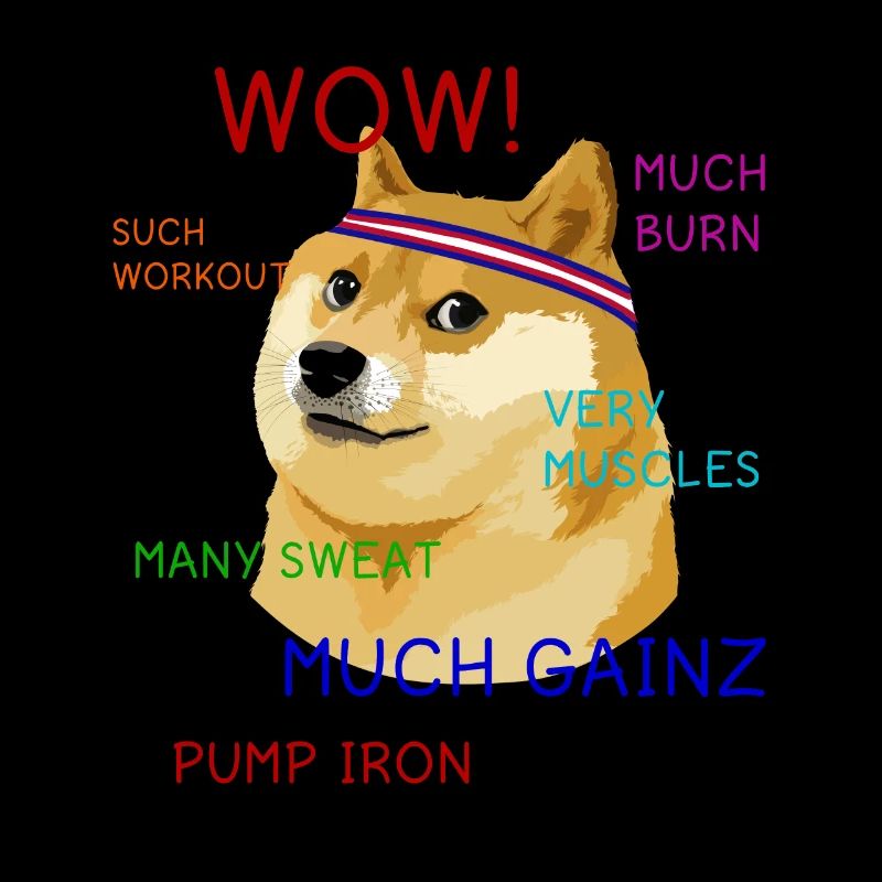 Fun Gym Doge Meme Workout Gainz