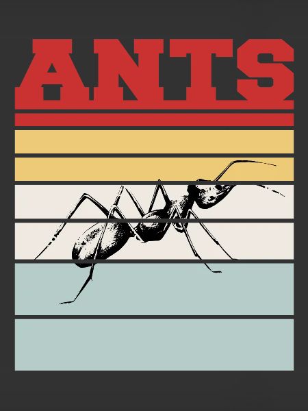 FOURMIS