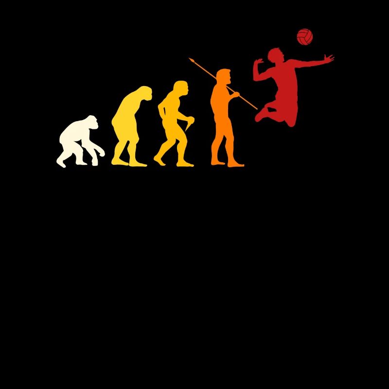 Volleyball Evolution Design