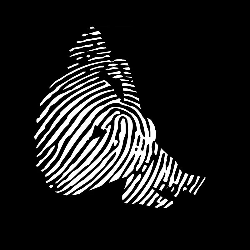 Empreinte digitale du sociologue