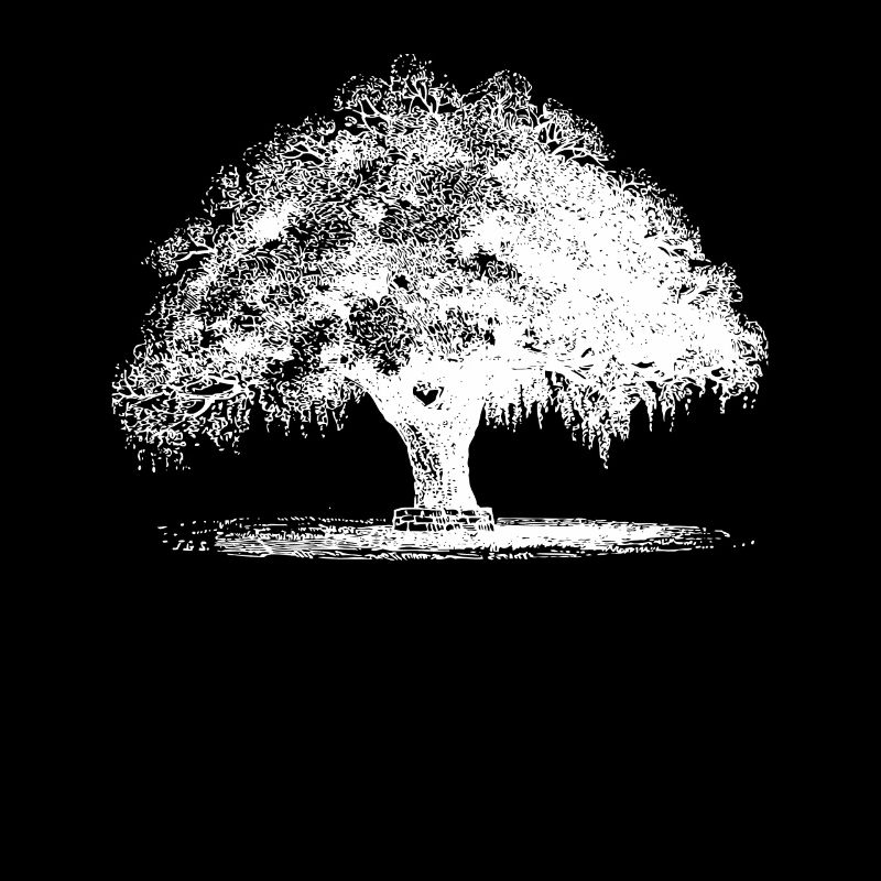 Baum