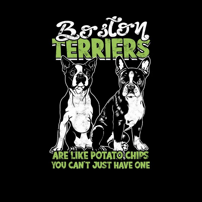 Les terriers de Boston sont comme des croustilles que vous ne pouvez pas