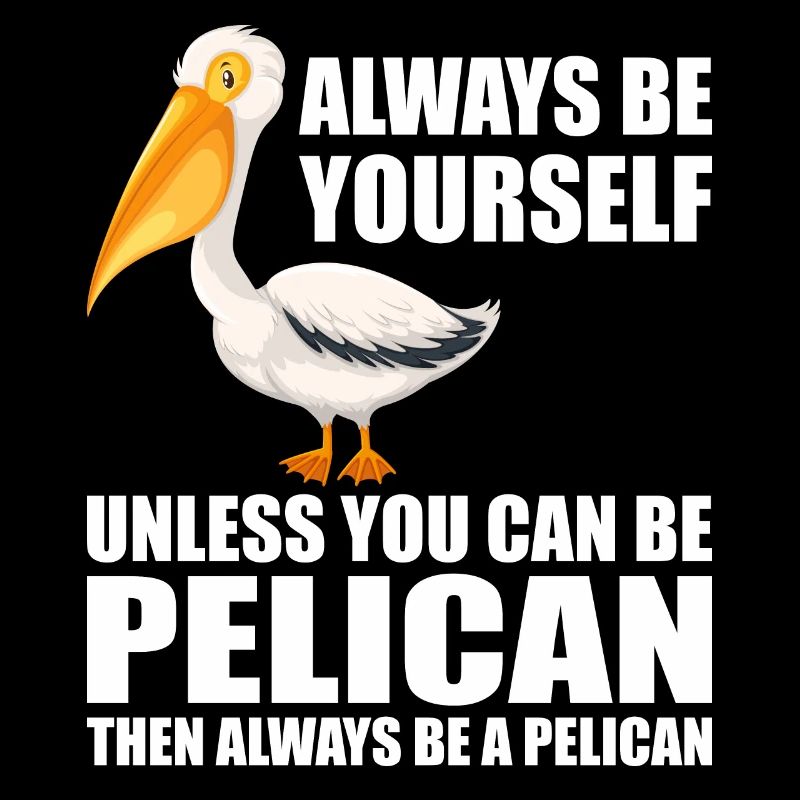 Pelican Pelicans Oiseaux Oiseaux Oiseaux