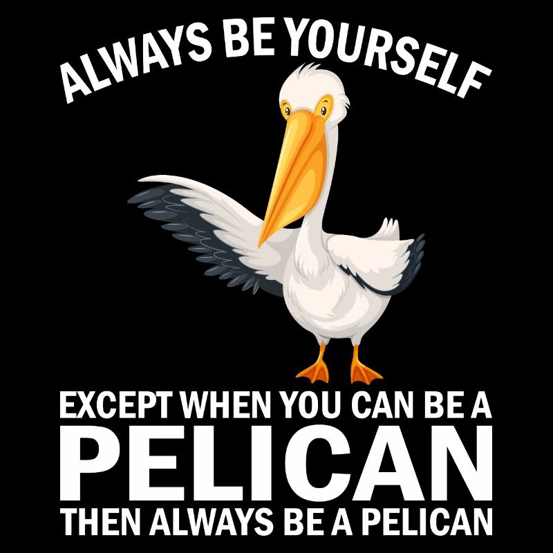 Pelican Pelicans Oiseaux Oiseaux Oiseaux