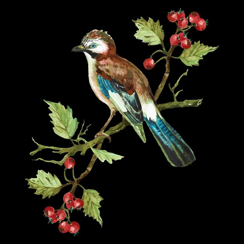 Colorful bird