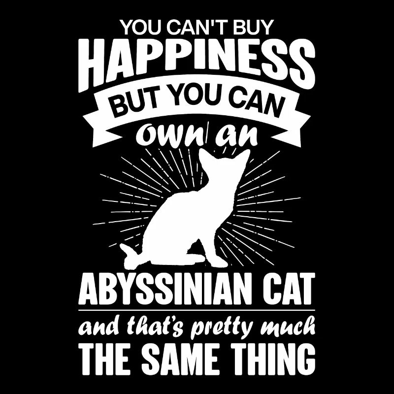 Peut acheter un chat abyssin