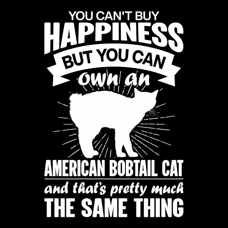 Can buy an American bobtail cat