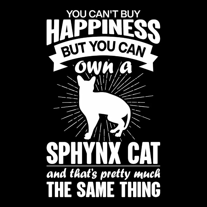 Peut acheter un chat Sphynx