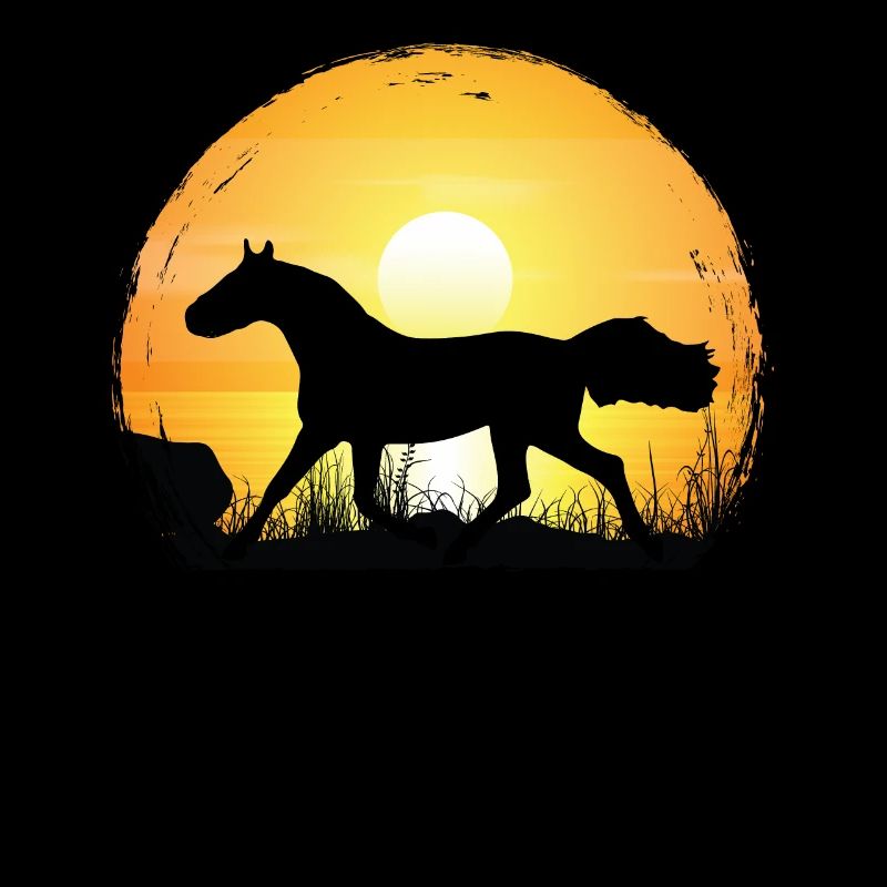 Coucher de soleil - Holsteiner Horse