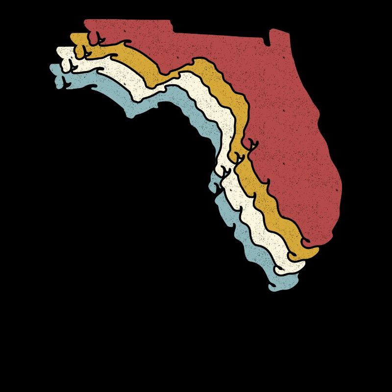 USA State - Vintage Map Florida