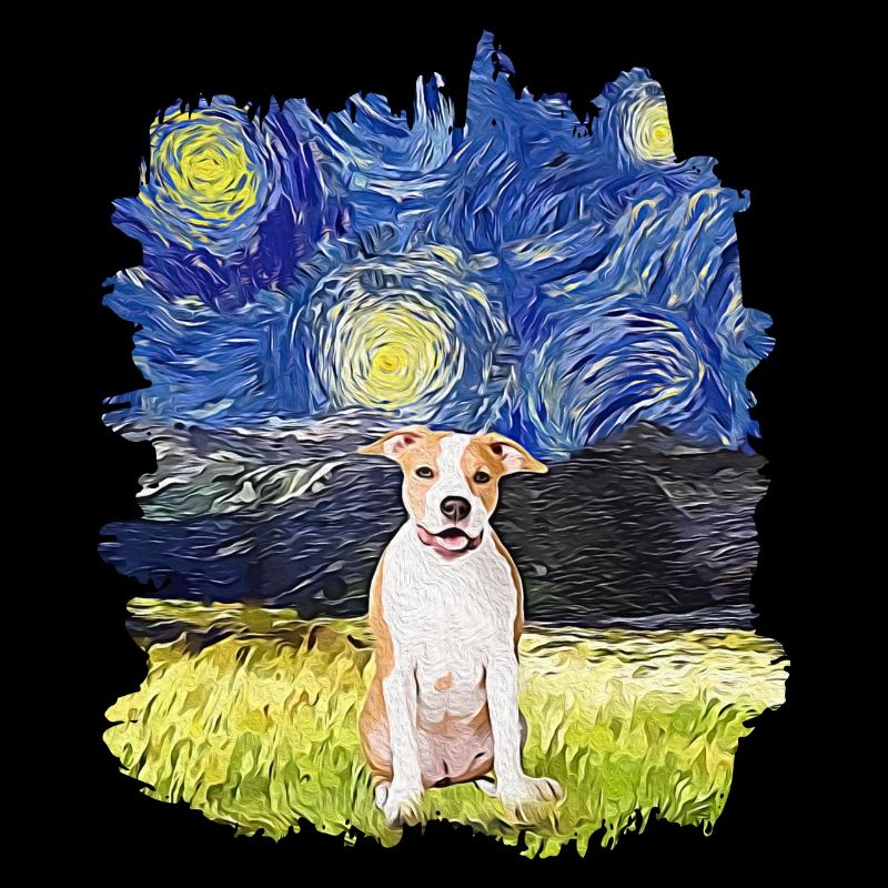 Nuit étoilée - American Pitbull