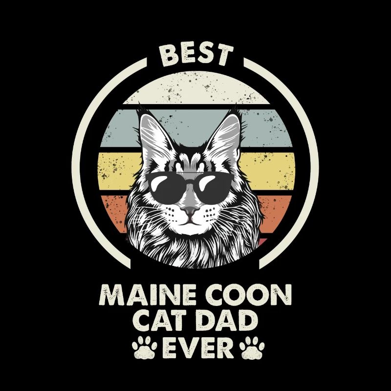 Papa chat - Maine Coon Cat