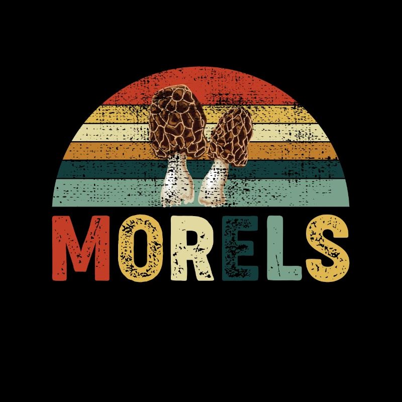 Morels Pilz Design