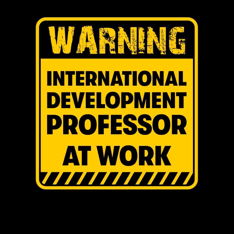 International Development Professor at work