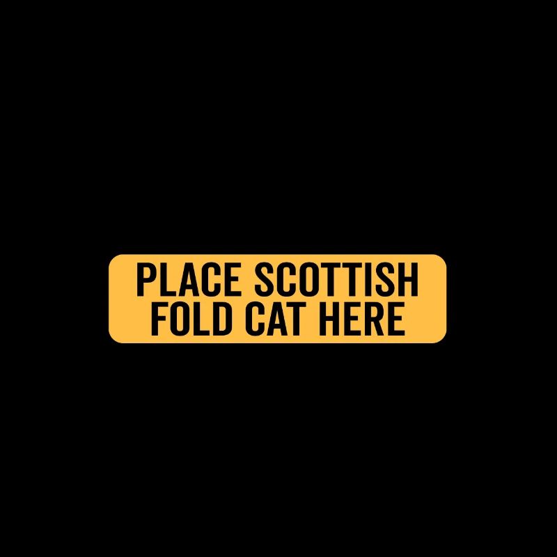 Émotionnel - Scottish Folding Cat