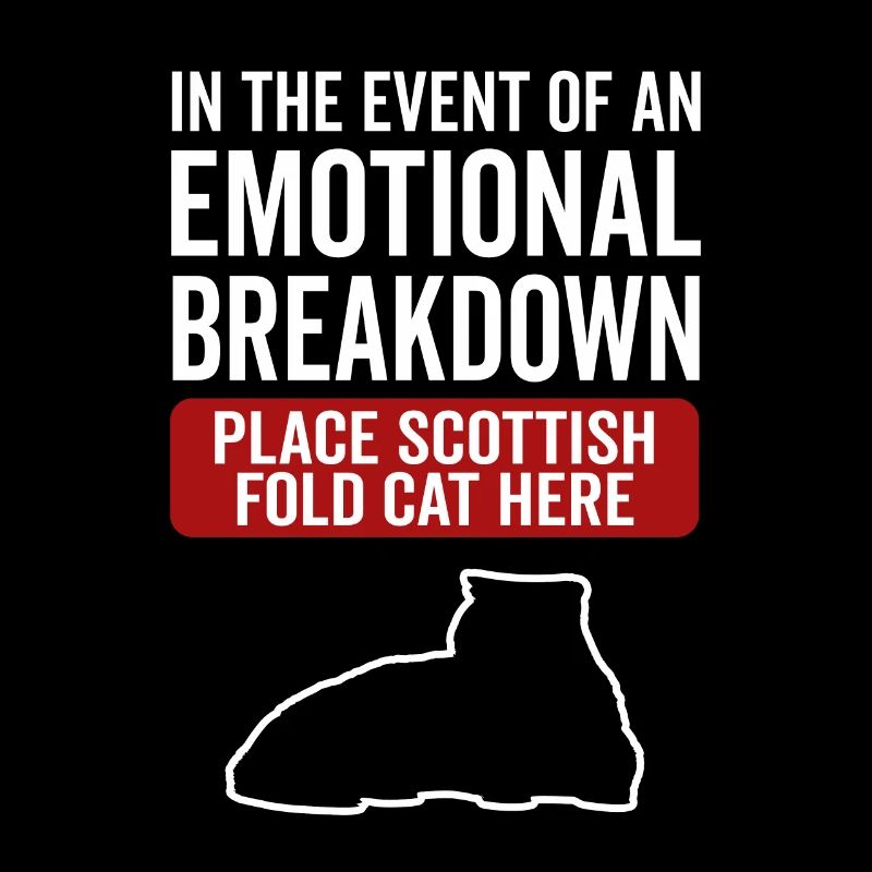 Emotional - Scottish Folding Cat