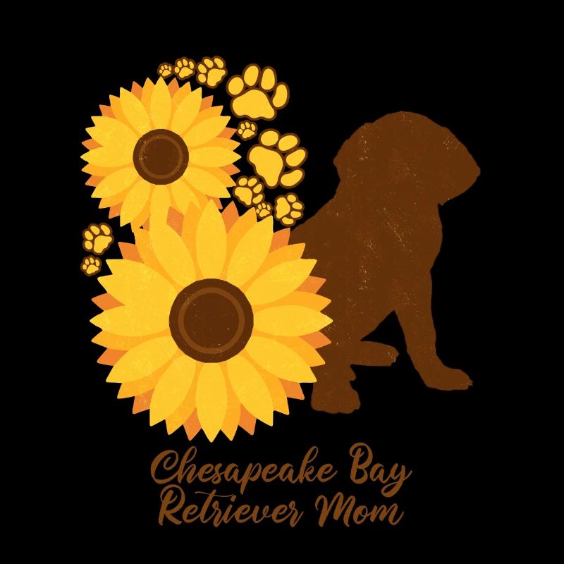 Mère de tournesol - Retriever de la baie de Chesapeake
