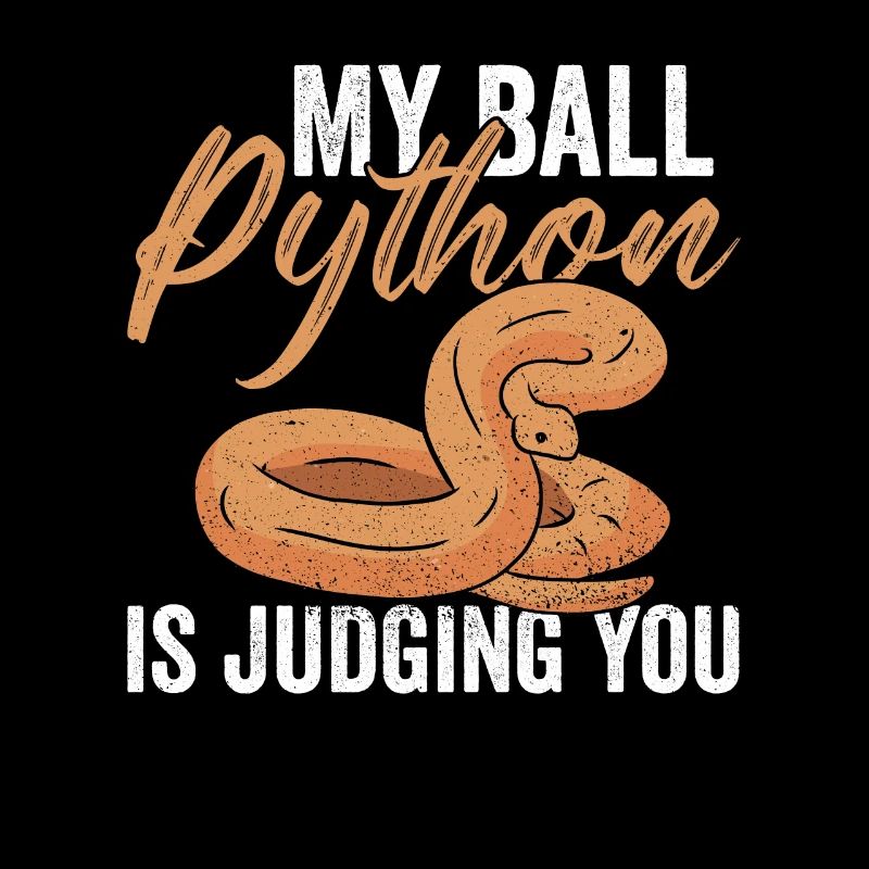 Python Königspython Banana Ball Python