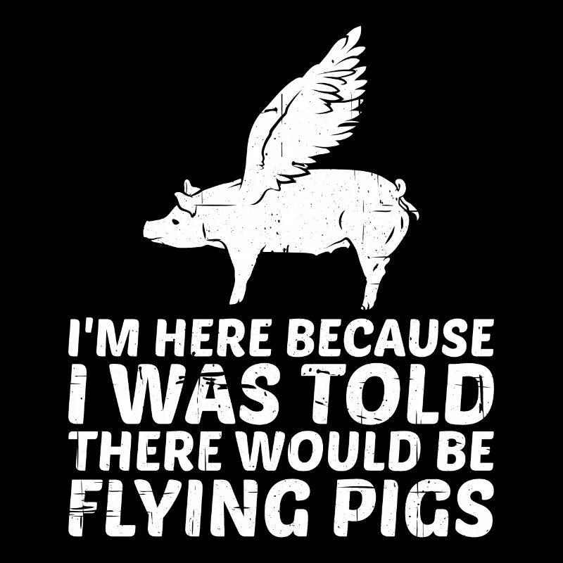I Was Told There Would Be Flying Pigs 11