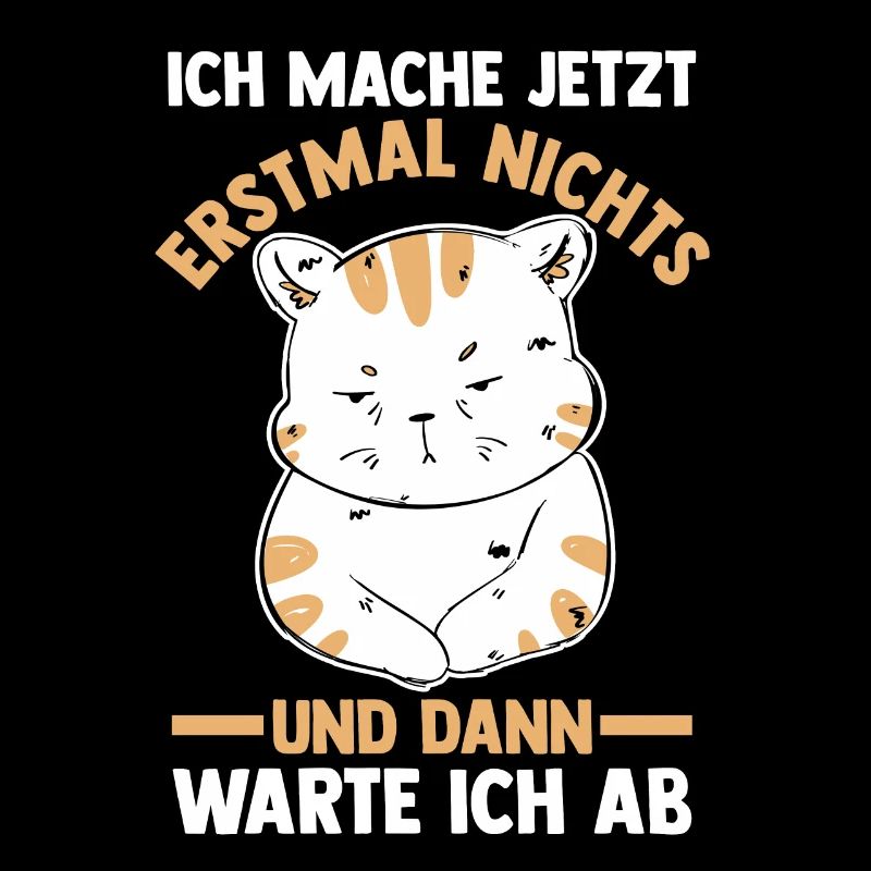 Ich Mach Jetzt Erstmal Nichts Katze