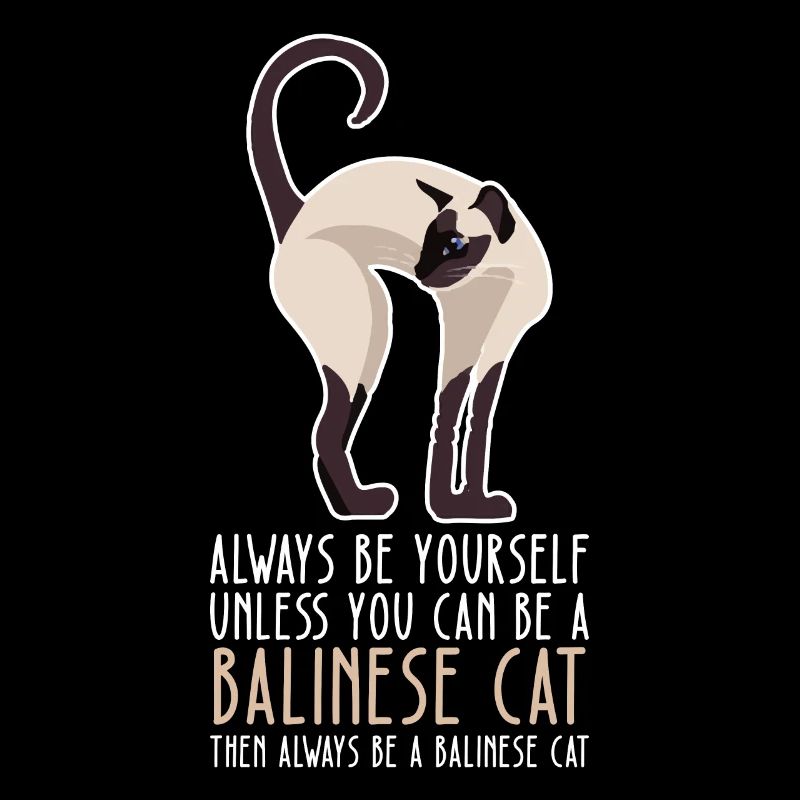 Sei Du Selbst - Balinesische Katze