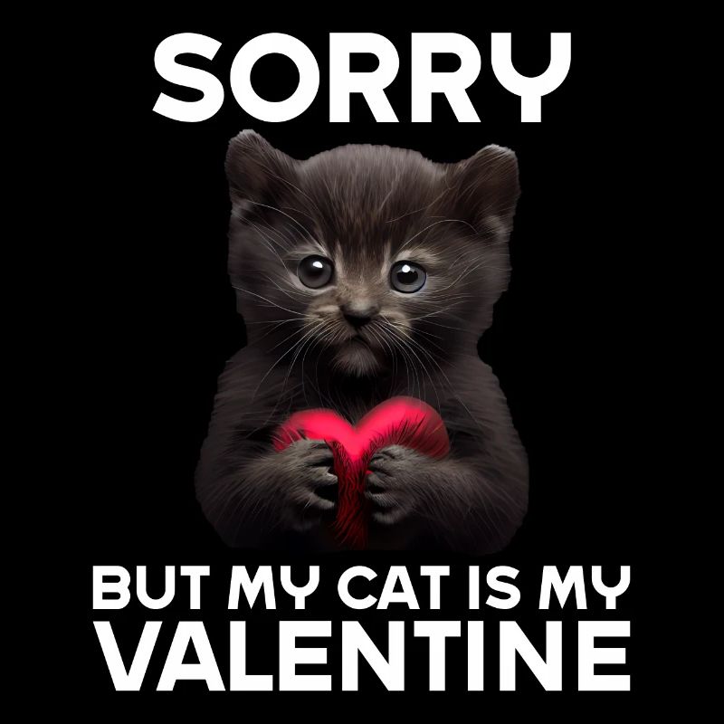 Désolé, mais mon chat est mon Valentin