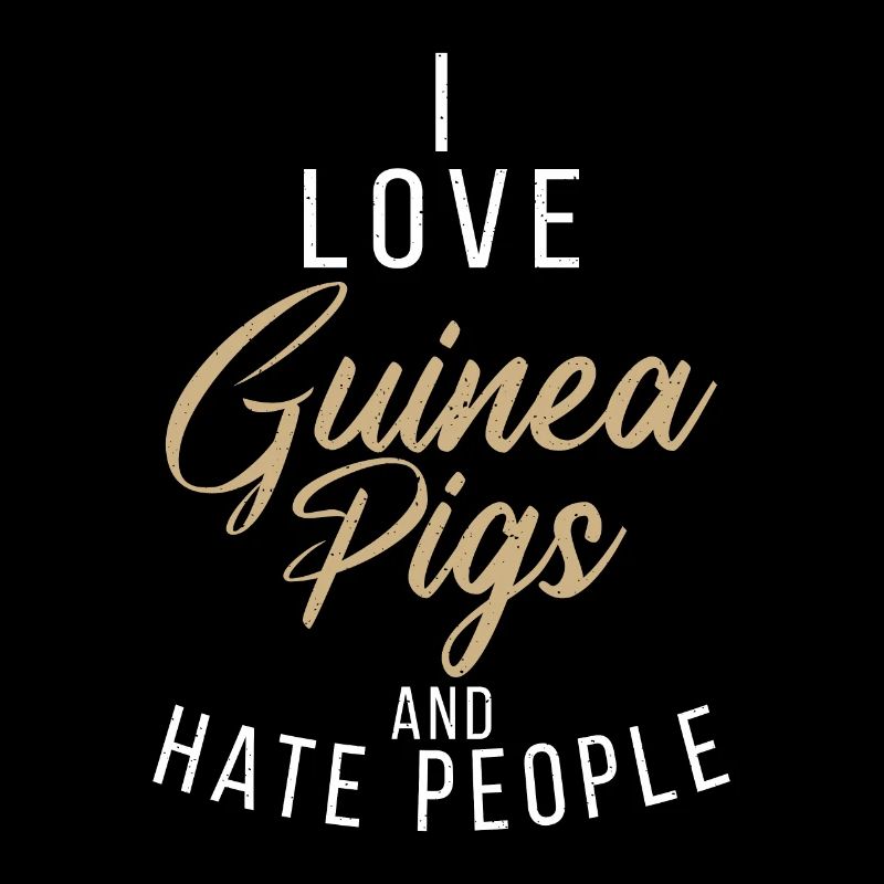 Cute Guinea Pig Gift