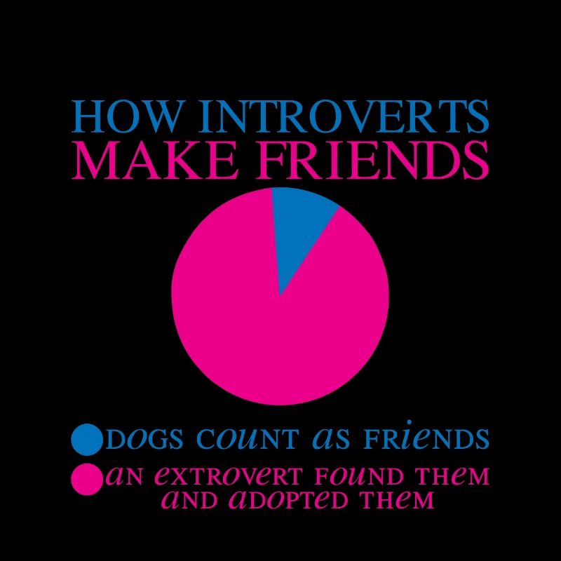 Comment les introvertis se font des amis 2