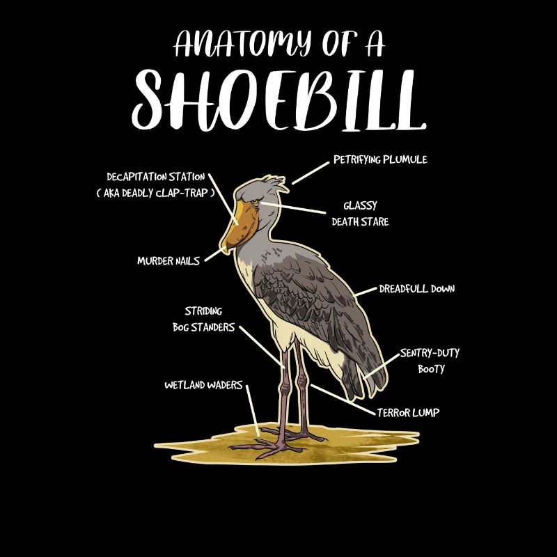 Bec-de-chaussure Ornithologue Forêt I Cadeau