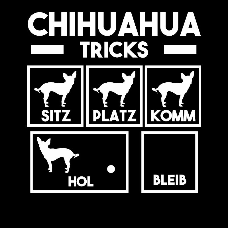 Hund Chihuahua