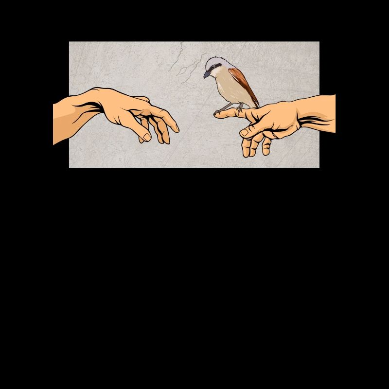 Pie-grièche écorcheur Lanius collurio Oiseau