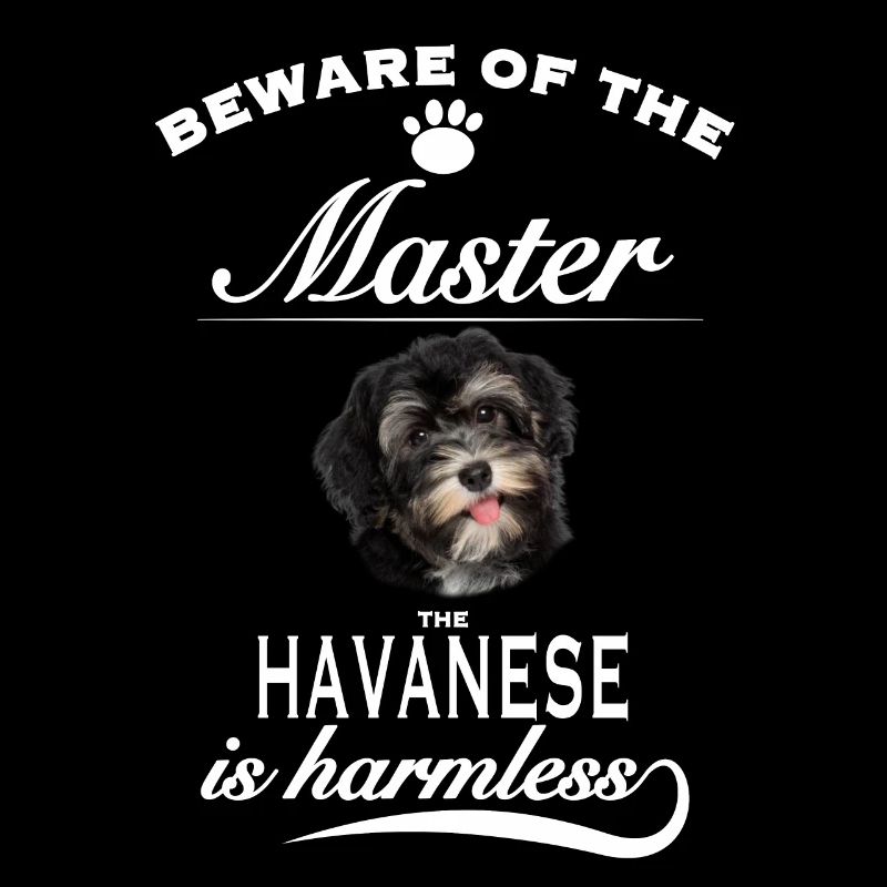 Beware of the master, harmless Havanese Havaneser