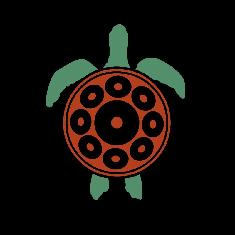 Jouer Handpan Turtle Handpan