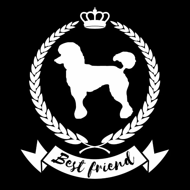 Meilleur ami - Caniche