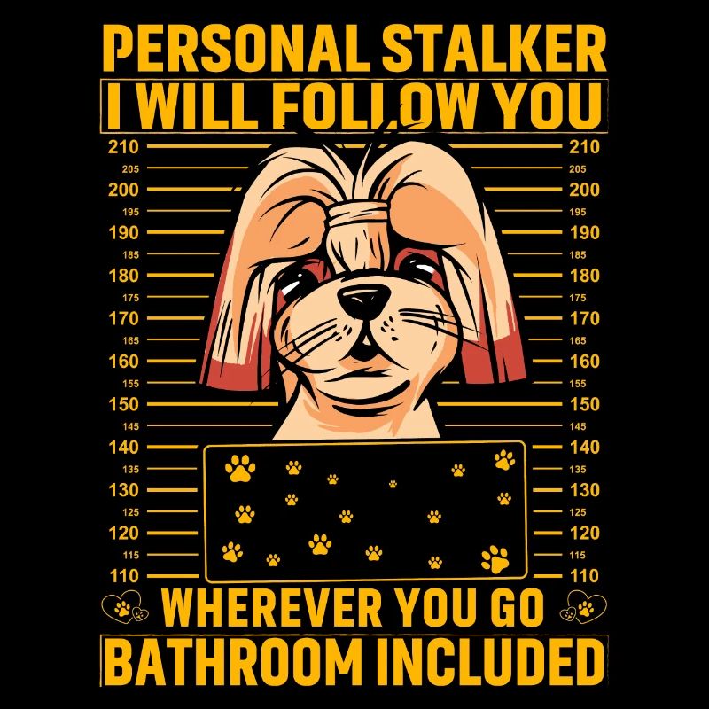 Shih Tzu Stalker