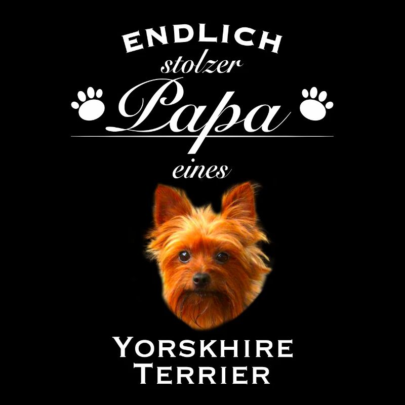 Endlich stolzer Papa - Yorkshire Terrier