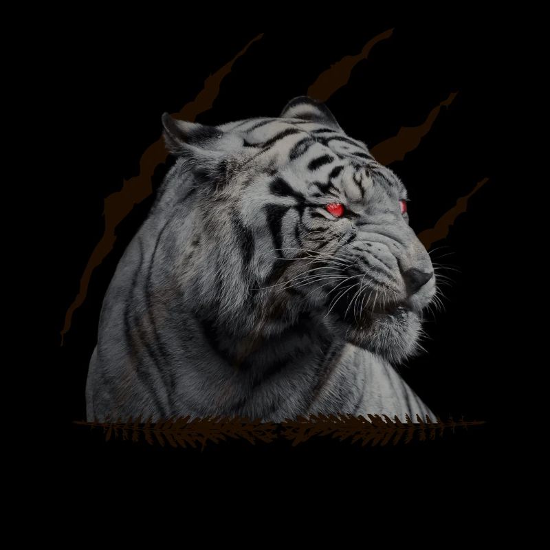 Tiger Schwarz