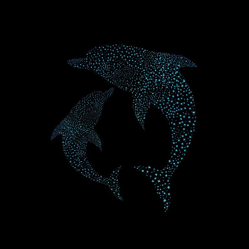 Delfine Dolphins