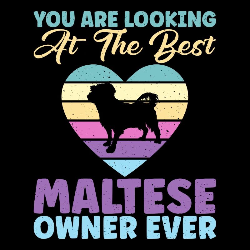 Cadeaux de propriétaire maltais