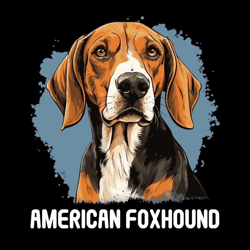 Chien American Foxhound