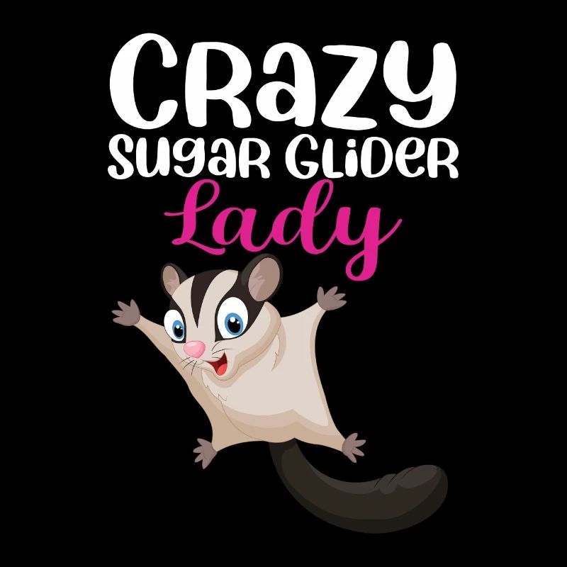 Sugar Glider Flughörnchen