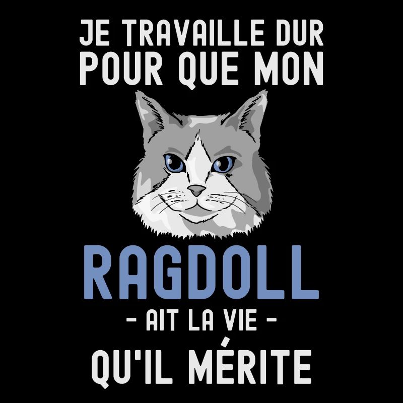 Chat mignon de race Ragdoll